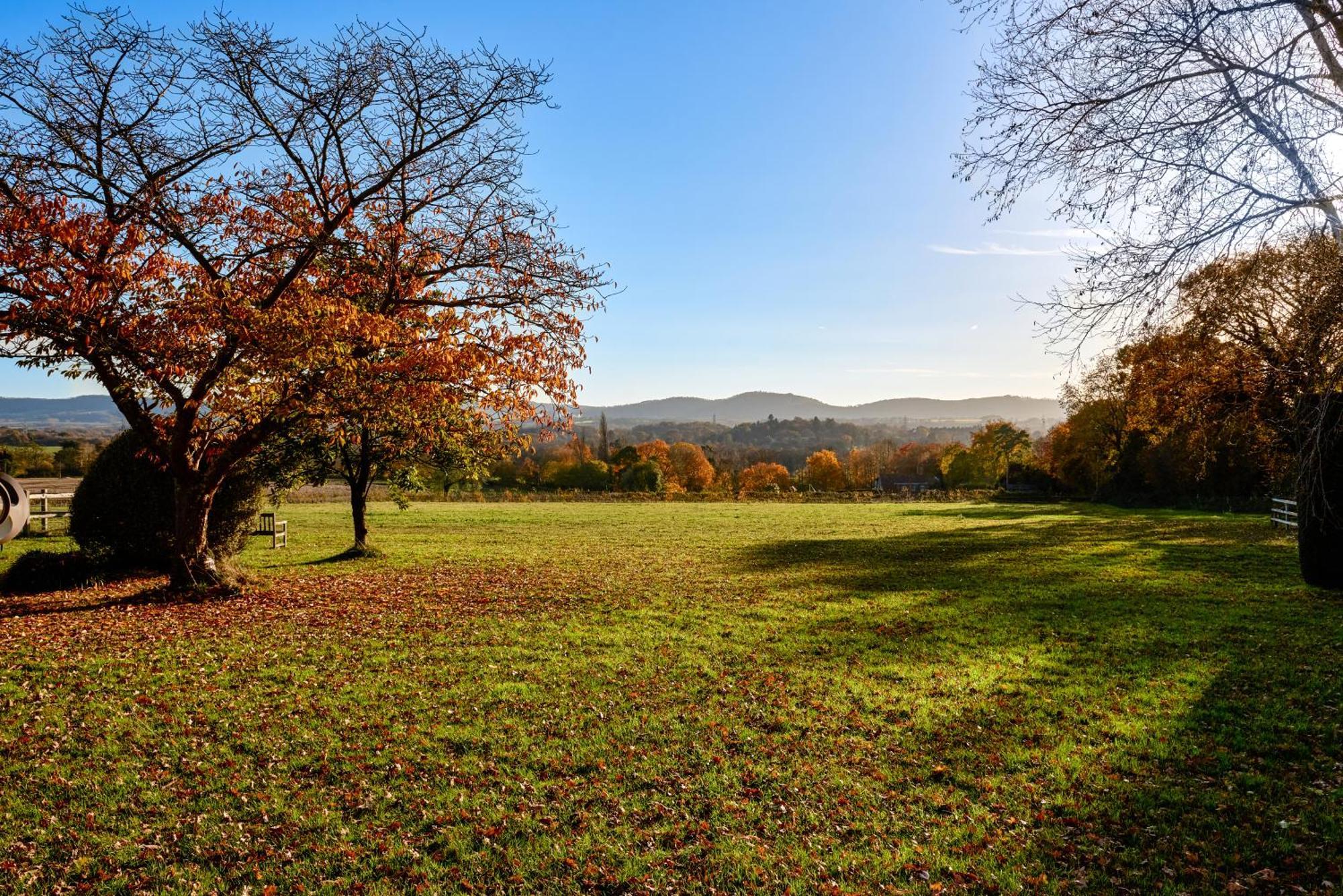 Garden Flat Near Goodwood With Stunning Views Apartment Petersfield Exterior photo